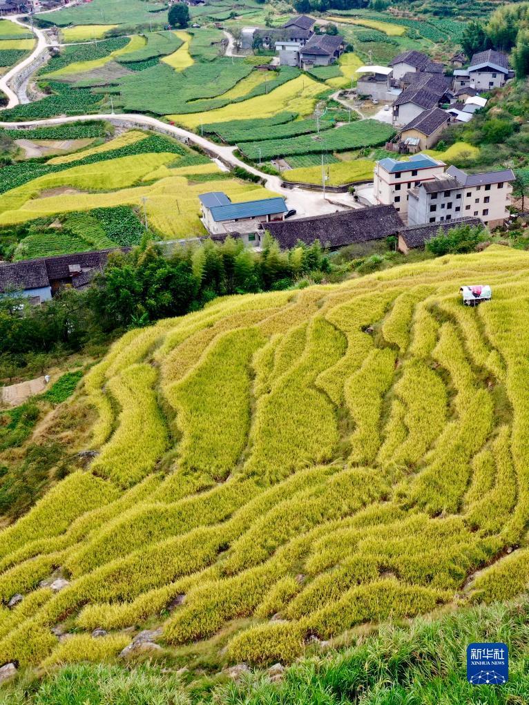 博狗公司注册